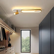 Indoor LED Ceiling Light
