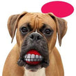 Teeth Pet Toy Ball