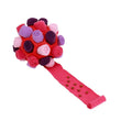 Pet Fried Ball Toy