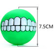 Teeth Pet Toy Ball