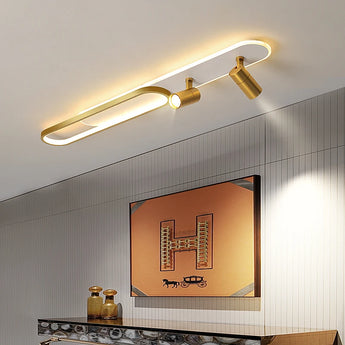 Indoor LED Ceiling Light